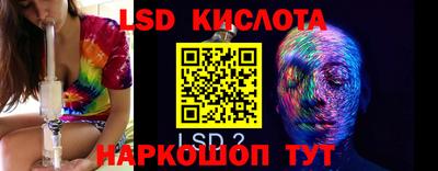 ПСИЛОЦИБИНОВЫЕ ГРИБЫ Кимры